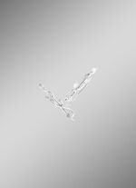 Ohrhaken mit synth. Zirkonia 