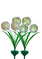 Solarleuchten, 2er-Set 