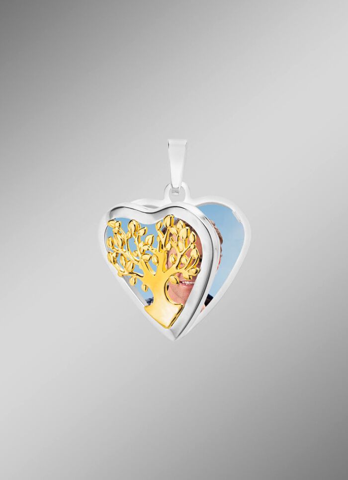 Herz-Medaillon in Bicolor zum &Ouml;ffnen 