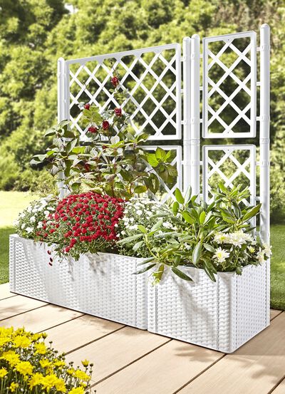 Pflanzkasten in moderner Rattan-Optik 