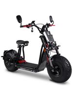 Maximus E-Cruiser - Die Alternative zum Motorrad 