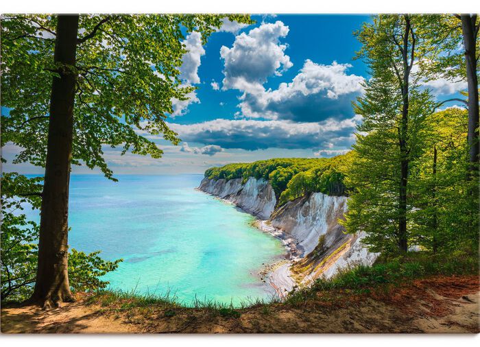 Bild "Kreidefelsen an der K&uuml;ste der Ostsee auf der Insel R&uuml;gen" 