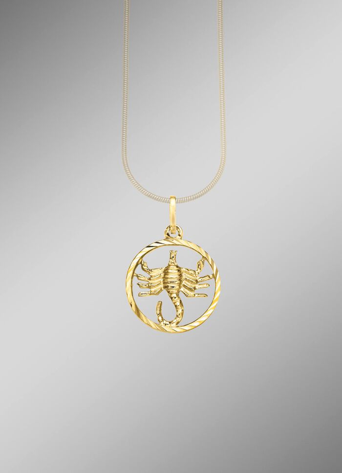 Sternzeichen-Anh&auml;nger in Silber 925/- fein 