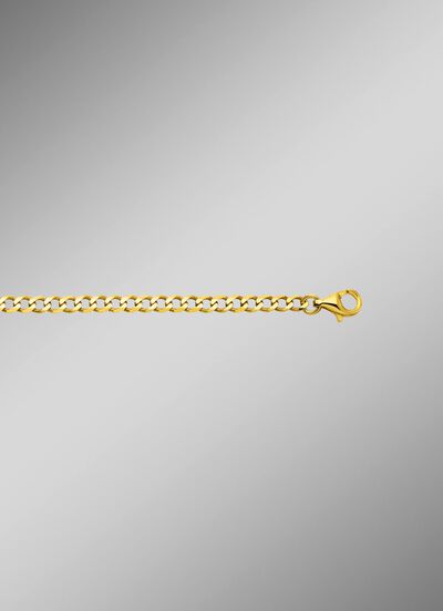 Panzerkette aus Gold 