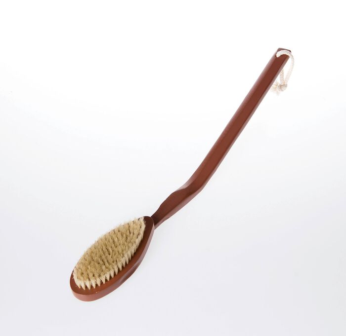 R&uuml;ckenb&uuml;rste mit Naturborsten 