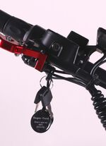 Maximus E-Cruiser - Die Alternative zum Motorrad 