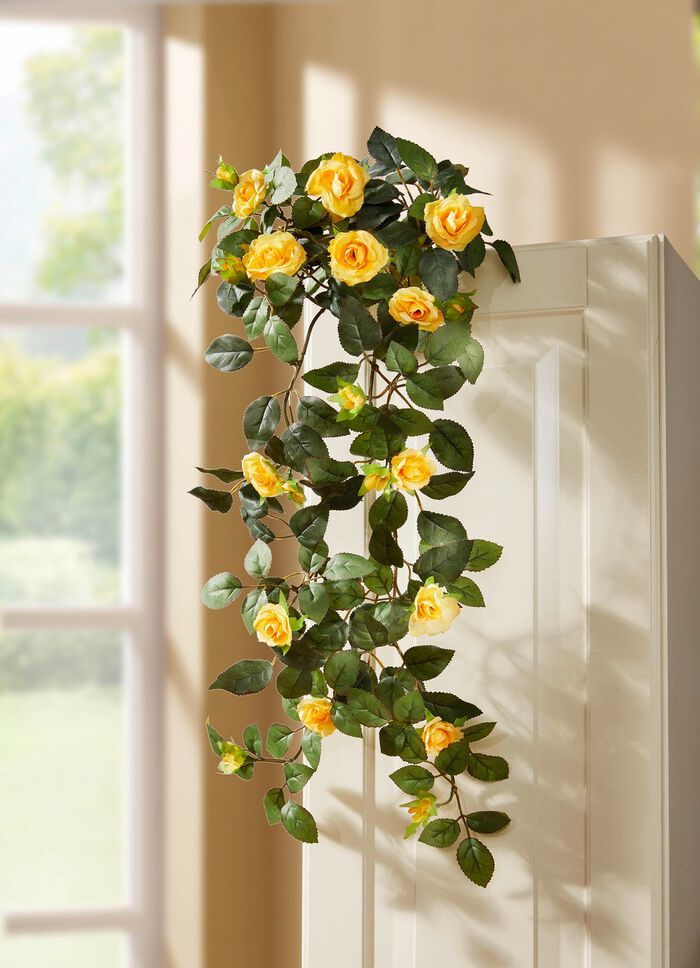 Rosenh&auml;nger 