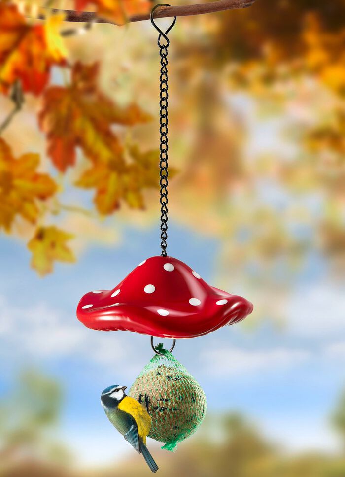 Meisenkn&ouml;delhalter Fliegenpilz 