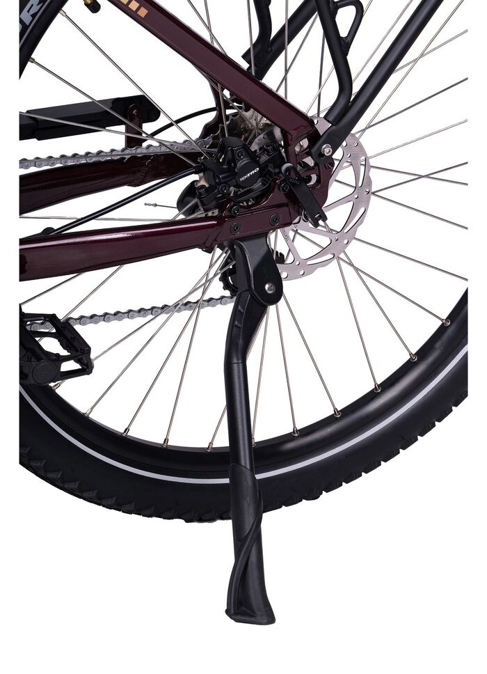 E-Bike Deluxe SUV Easy 