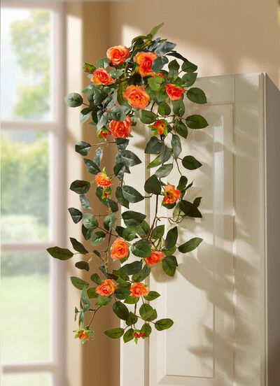 Rosenh&auml;nger 