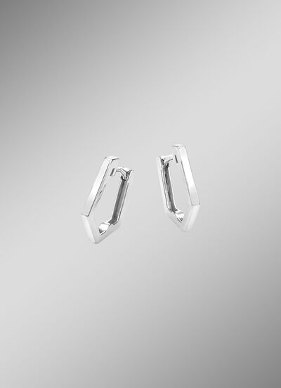 Gl&auml;nzende Klappcreolen 