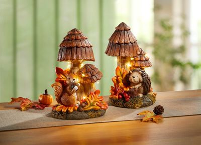 Herbstliche Pilzen, beleuchtet 