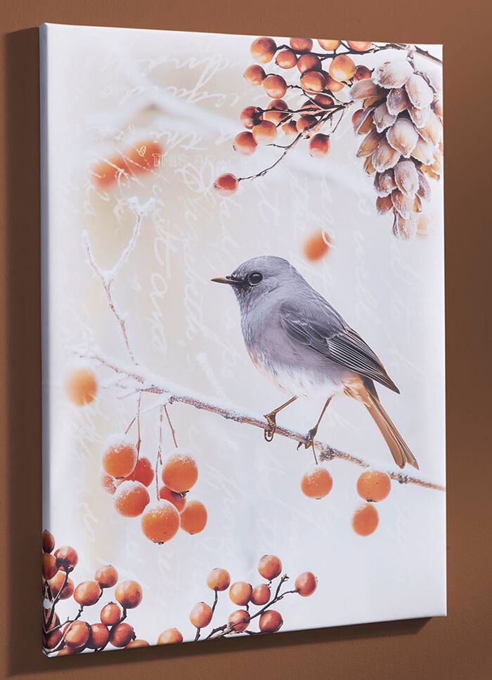 Bild Vogel des Jahres 2025 Hausrotschwanz auf Leinwand 
