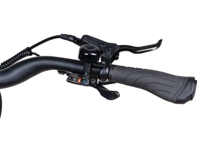 E-Trekking-Bike X-Road 5.2 von SAXONETTE 