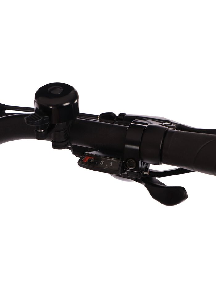 E-Bike Comfort Sport Easy von SAXXX 