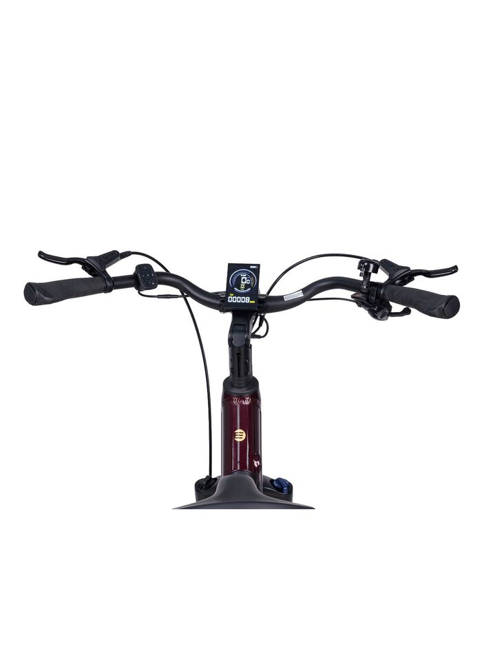 E-Bike Deluxe SUV Easy 