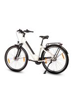 E-Bike Comfort Plus 5.0 von Saxonette 
