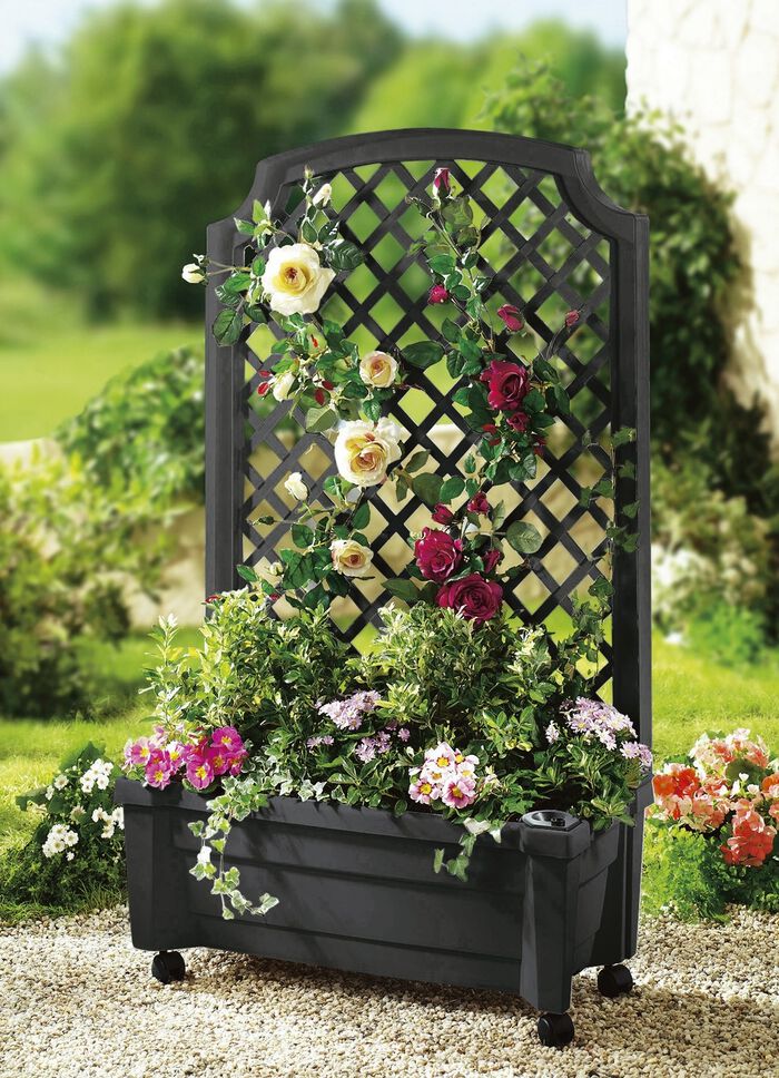 Roll-Pflanzkasten mit Spalier 