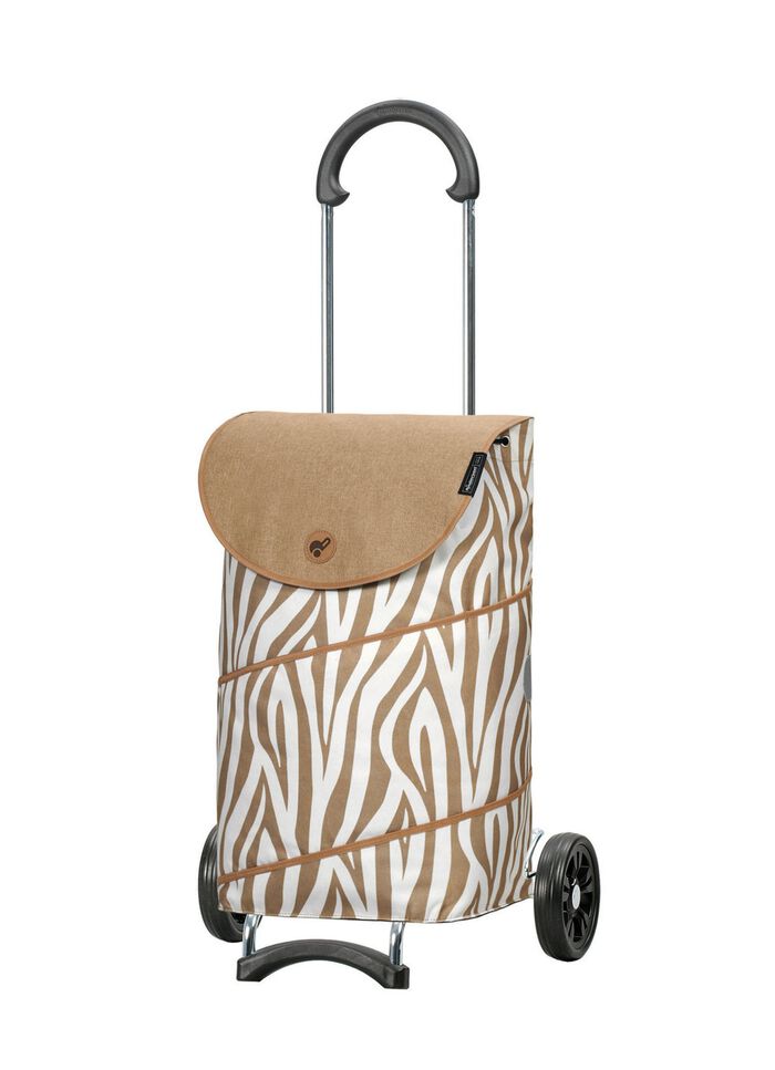 Shopper aus chromatisiertem Stahlrohrgestell 