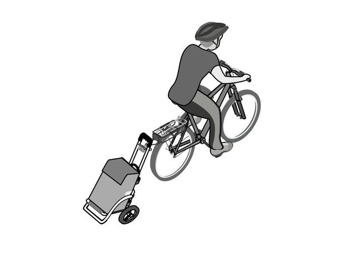 Leichter und leiser Einkaufsroller Royal Shopper 