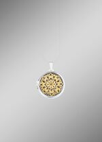 Filigranes Medaillon zum &Ouml;ffnen in Bicolor 