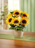 Sonnenblumen-Gesteck 