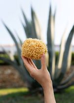 Badeschwamm aus nat&uuml;rlichem Material 