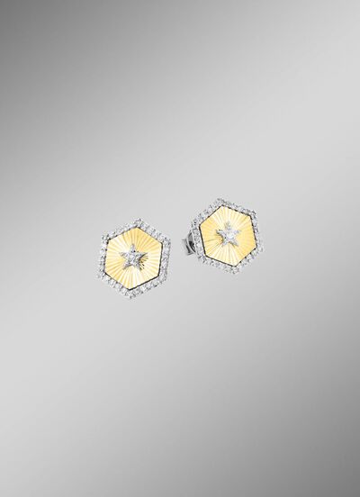 Ohrstecker in Bicolor mit 2 Brillanten und 60 Diamanten 