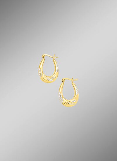 Eleganz und Glanz: Creolen in Bicolor 