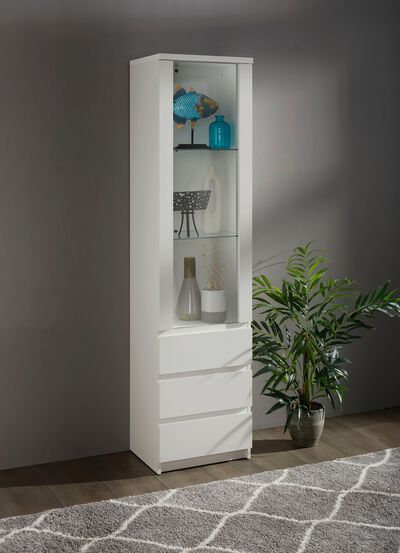 Vitrine in modernem Design 