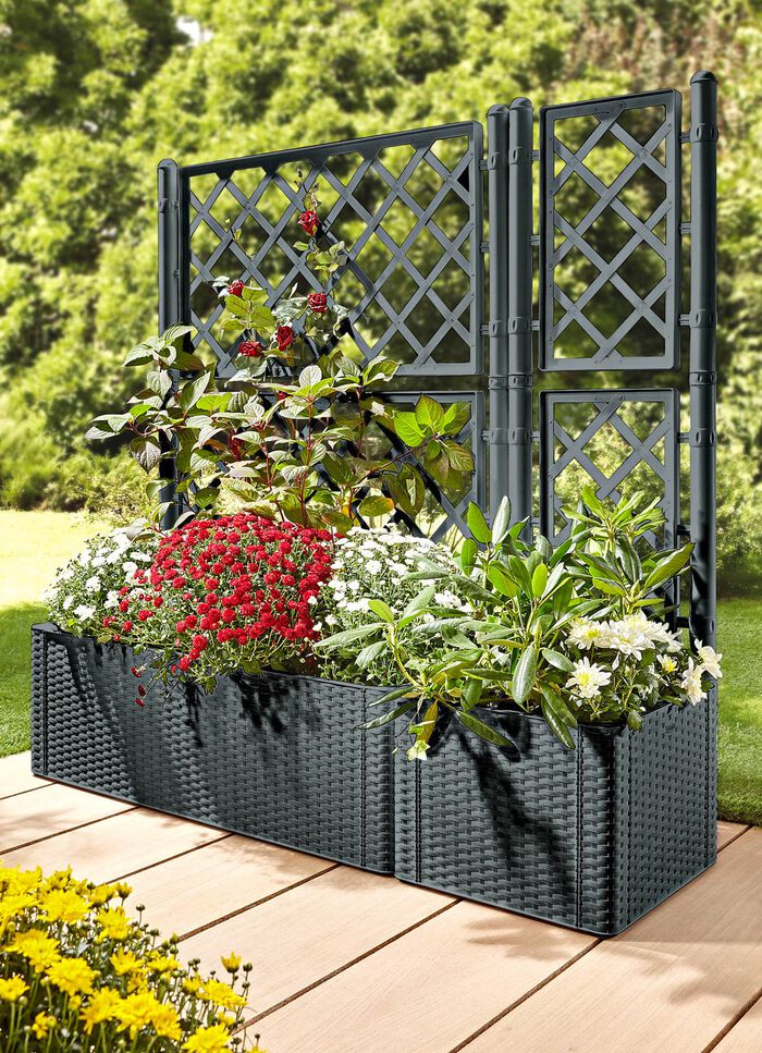 Pflanzkasten in moderner Rattan-Optik 