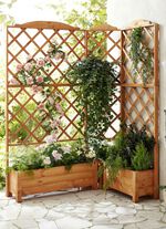 Pflanz-Spalier aus impr&auml;gniertem Kiefernholz 