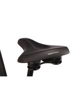 E-Bike Comfort Plus 5.0 von Saxonette 