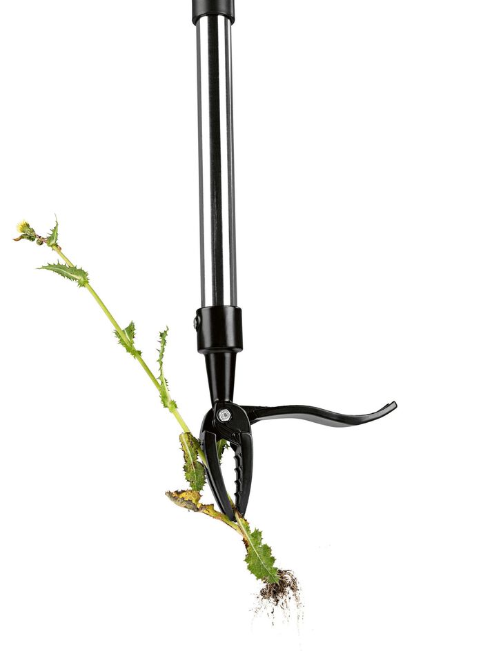 EASYmaxx Unkrautstecher 