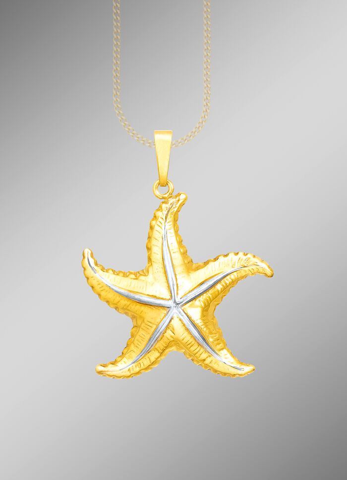 Interessanter Anh&auml;nger Seestern in Bicolor 