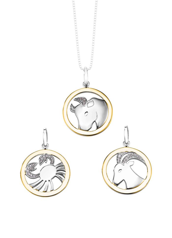 Sternzeichen-Anh&auml;nger  