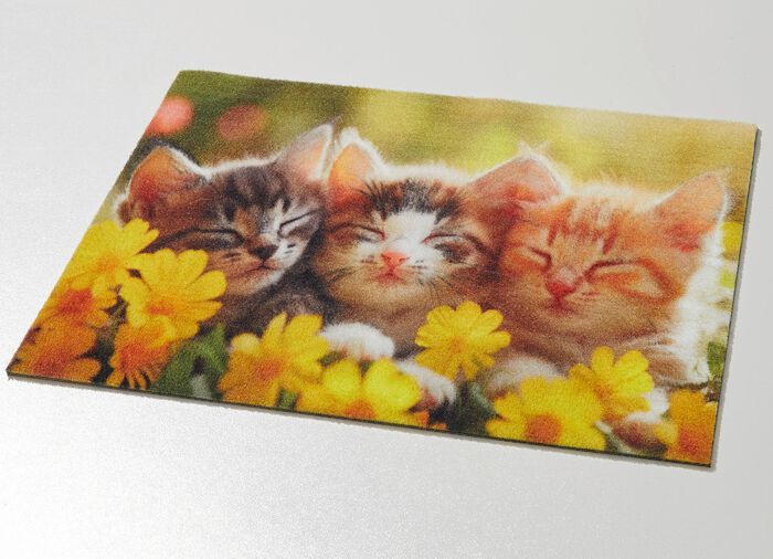 Fu&szlig;matte mit rutschhemmender R&uuml;ckseite 