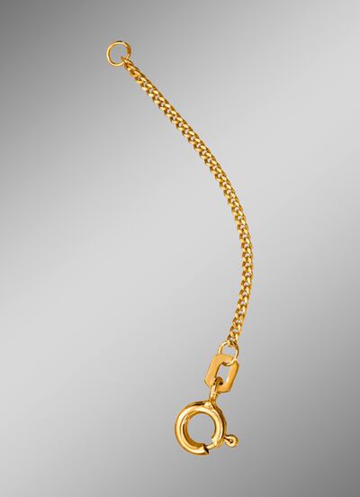 Panzer-Verl&auml;ngerungskette 