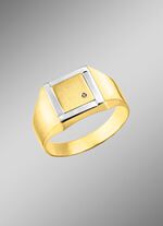 Herrenring in Bicolor-Design 