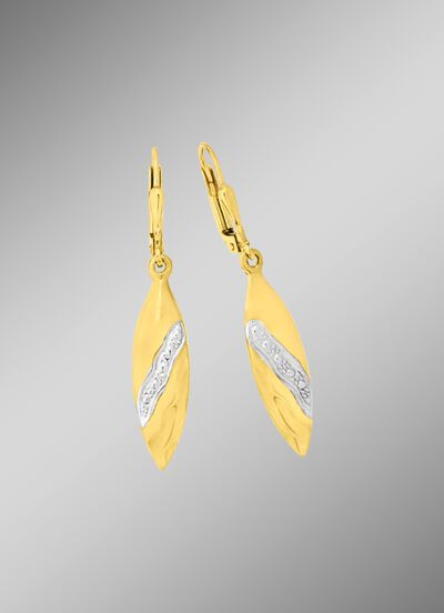 Tolle Ohrringe in Bicolor 