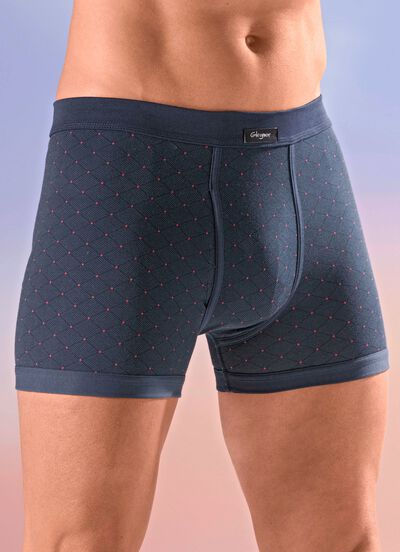 Viererpack Unterhosen mit Alloverdessin 