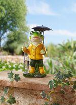 Frosch mit Regenmesser 