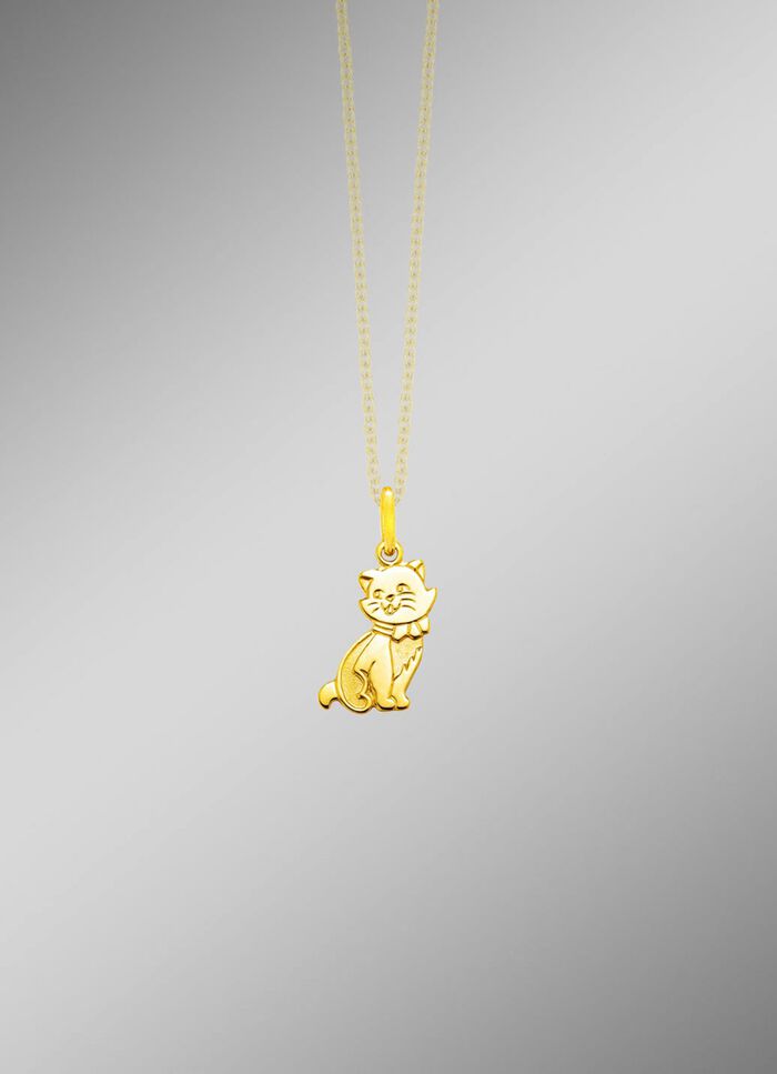 Anh&auml;nger mit Katze 