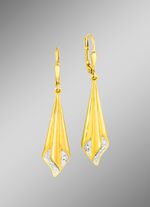 Attraktive Ohrringe in Bicolor 