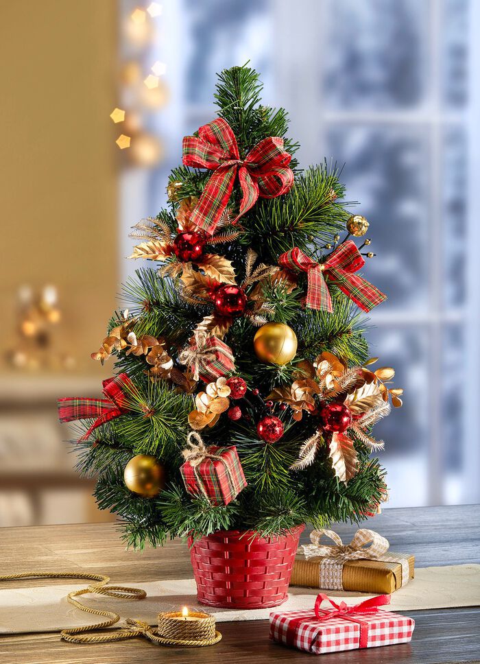 Weihnachtsbaum im Topf 