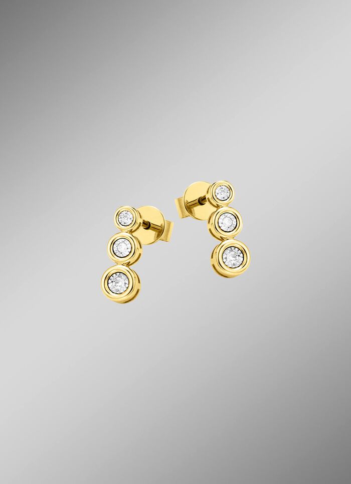 Edle Ohrstecker mit Brillanten 
