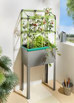 Metallhochbeet Heidelberg mit Rankhilfe 